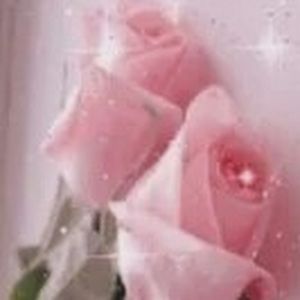 Meet your Posher, Rose